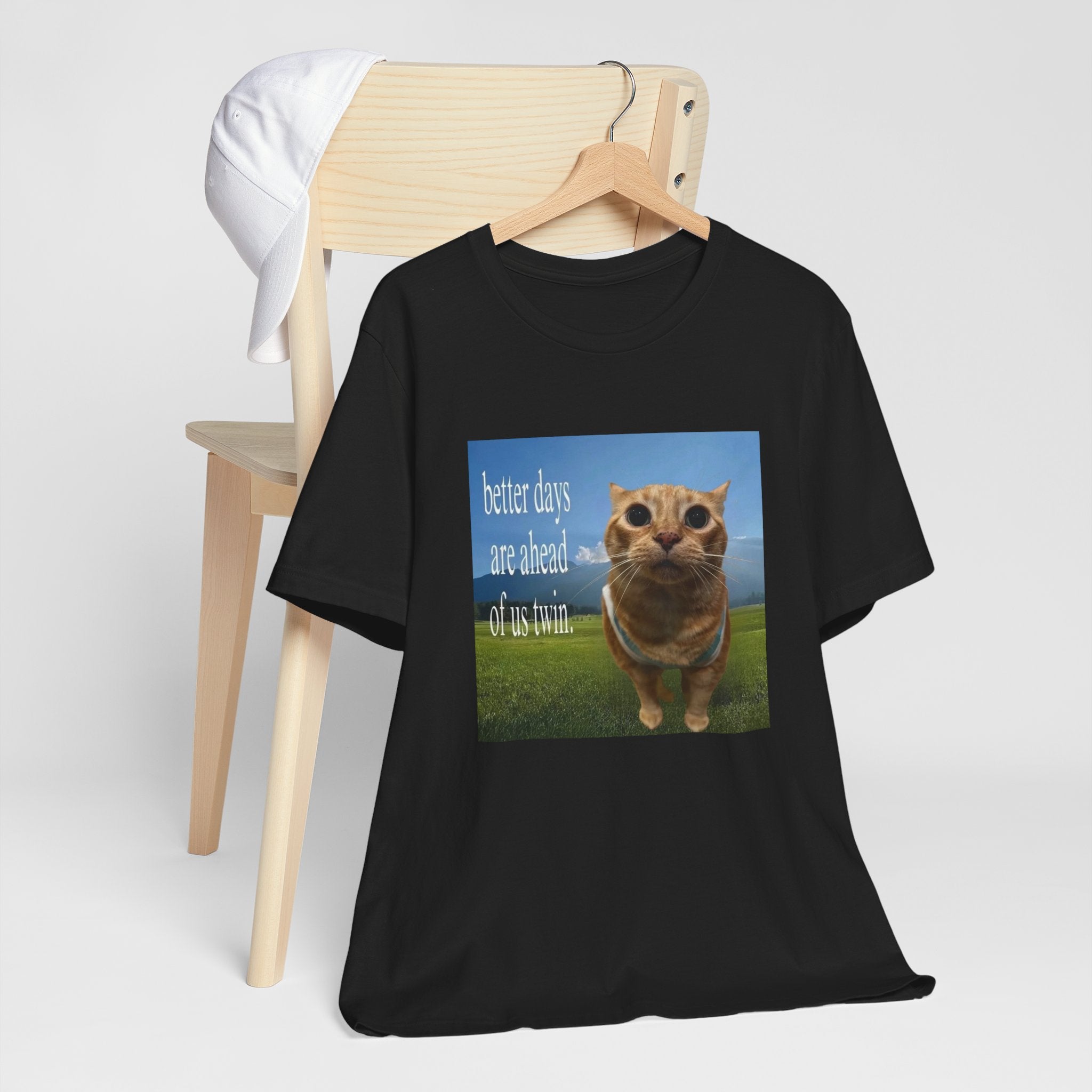 Inspirational Orange Cat T-shirt