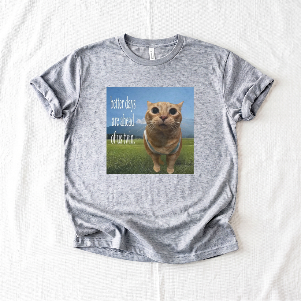 Inspirational Orange Cat T-shirt