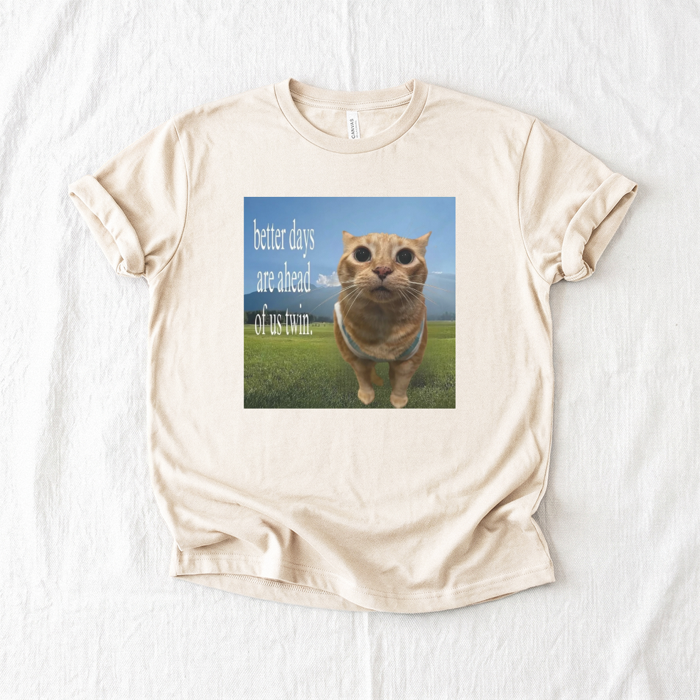 Inspirational Orange Cat T-shirt