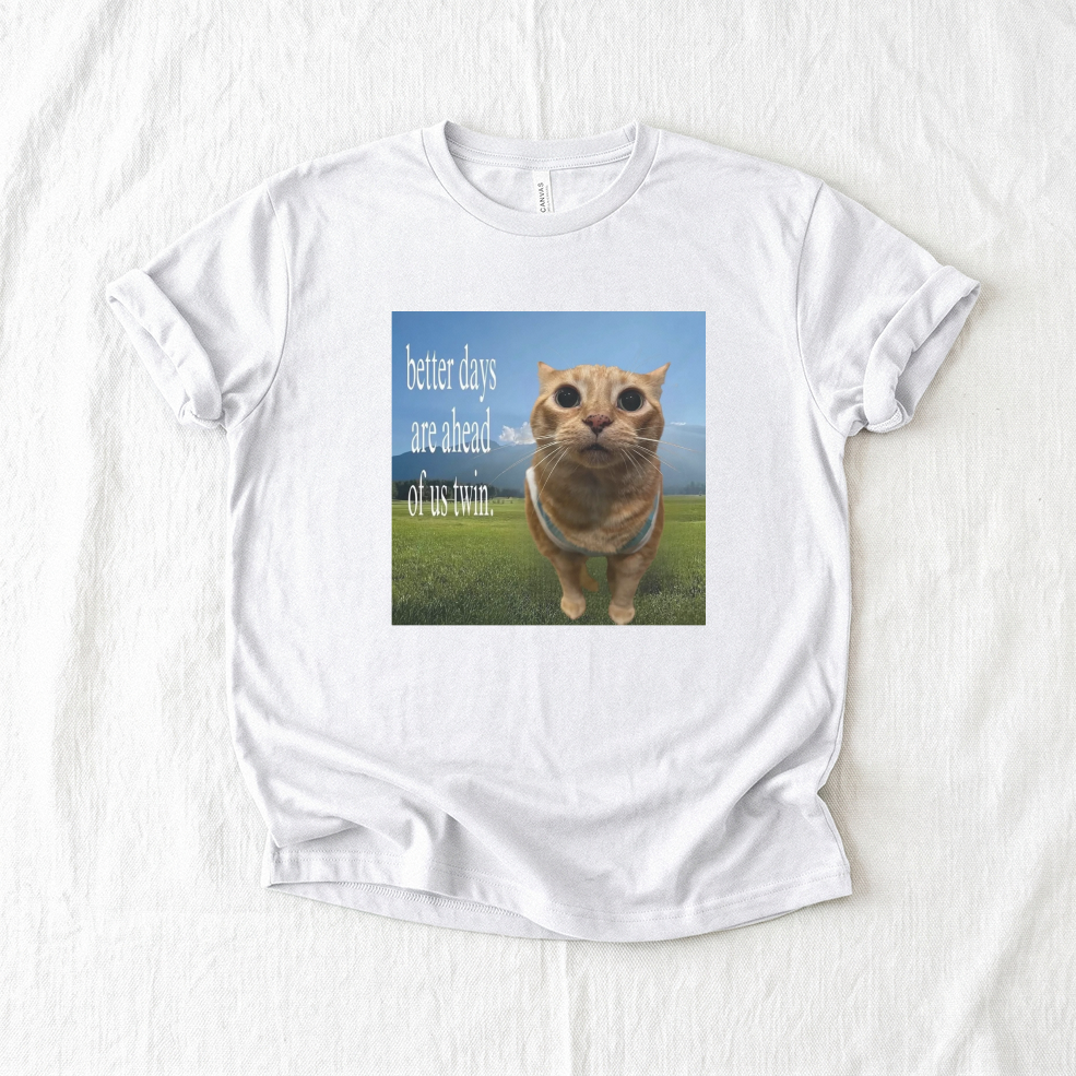 Inspirational Orange Cat T-shirt