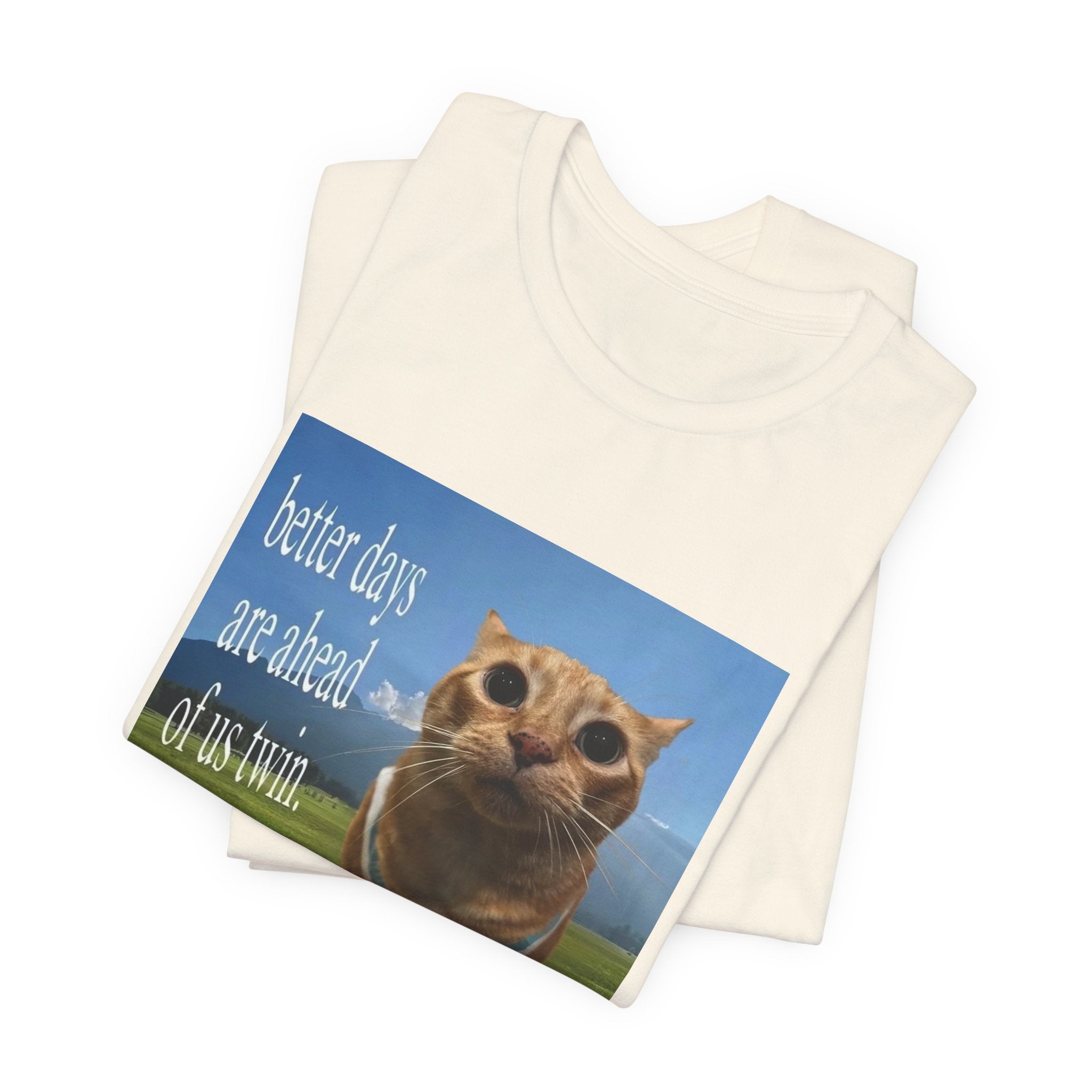 Inspirational Orange Cat T-shirt