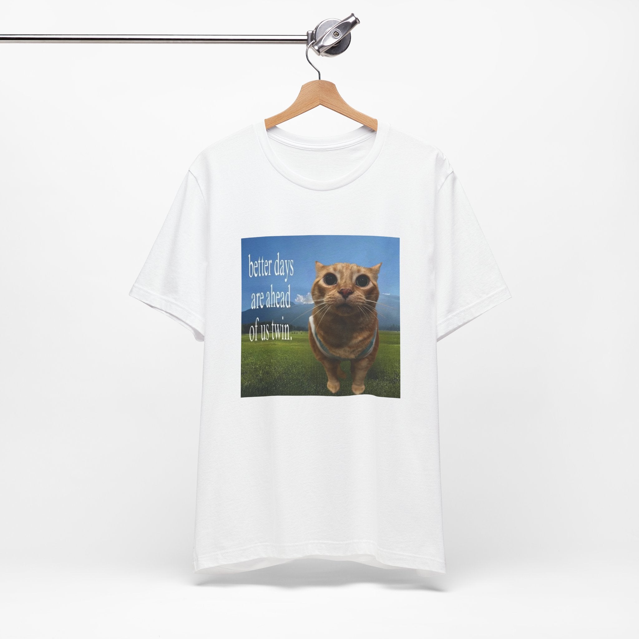 Inspirational Orange Cat T-shirt